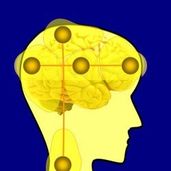 The Common Theory of Consciousness of the Person